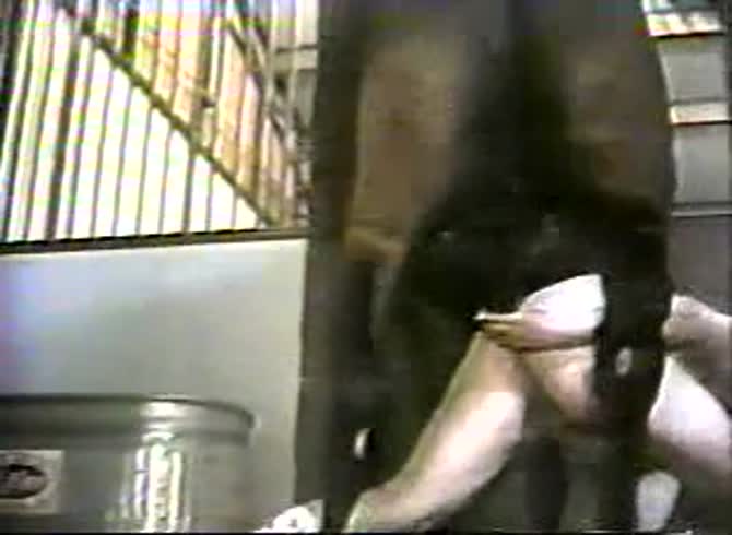 Video :Big horse dick destroying a gay's butthole